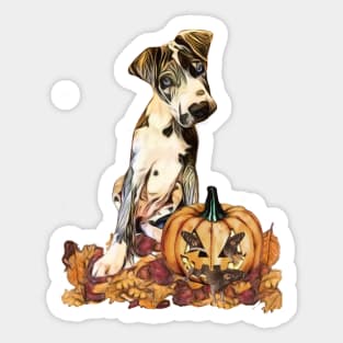 Great Dane With Pumpkin  Design Sticker